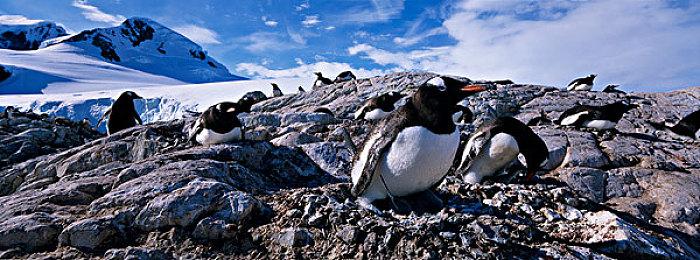 类模拟人生新作《Life by You》新视频展示身体定制